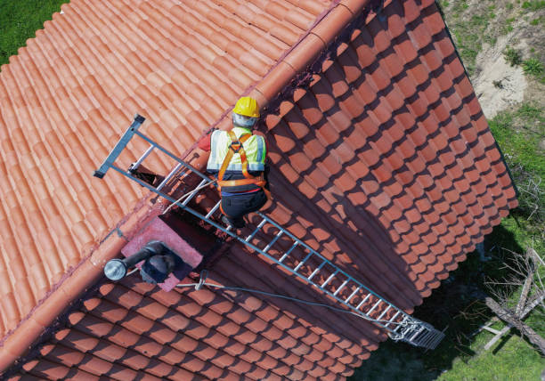 Best Solar Panel Roofing Installation  in Portageville, MO