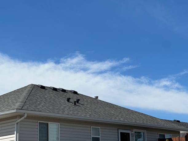 Steel Roofing in Portageville, MO